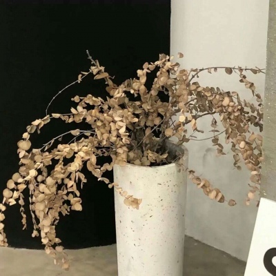 Furry插画光影处理福瑞群